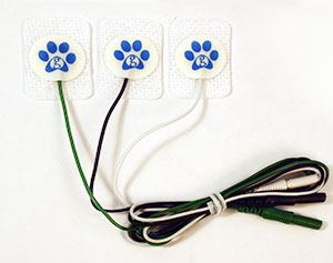 electrodo pediátrico en forma de patas de cachorro